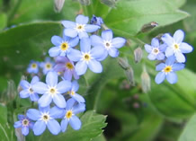 �킷��Ȃ���