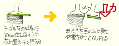 ���ɉԂ��悹�đ̏d�Ő܂���@