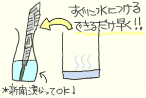 �n�T�~�Ōs���͂���Ńe�R�̌����Ő܂���@