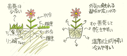 �J�Ɛ����