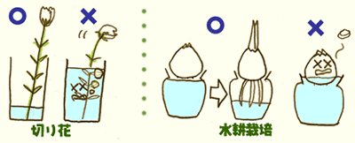 �؂�ԁE���k�͔|