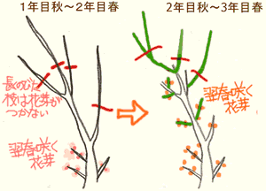 �~�Ȃǂ̙���