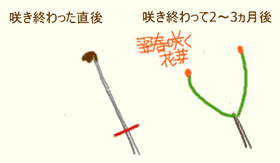 ���������Ȃǂ̙���