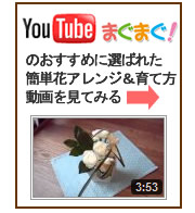 �ԃA�����W��������Ă݂�