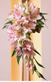 ���C�������O�u�[�P�̗�