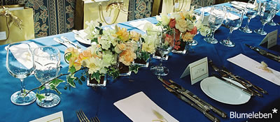 �p�e�[�u���̉ԁE�����A��p