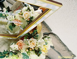 �E�F���J���{�[�h