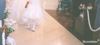 �x���`�t�����[