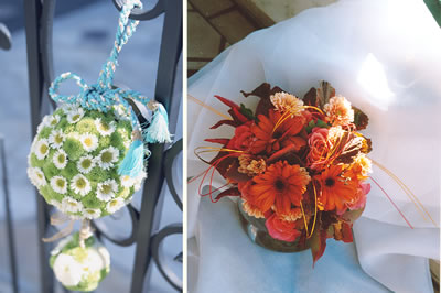 �a���u�[�P